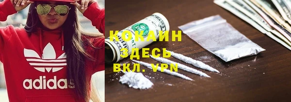 шишки Абаза