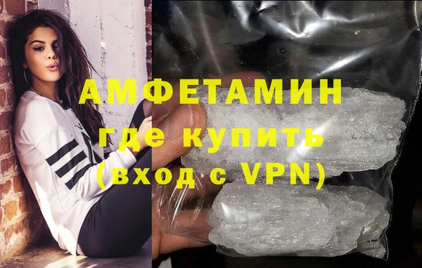 шишки Абаза