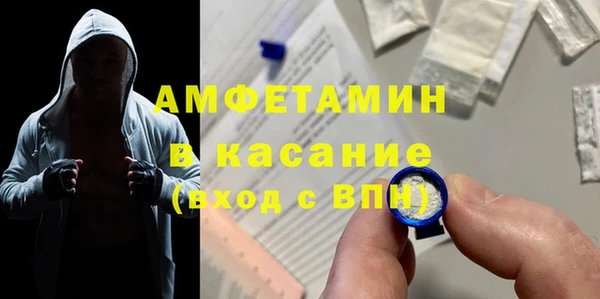 шишки Абаза