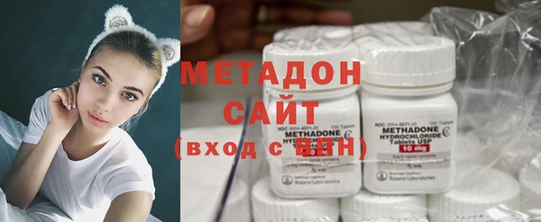 шишки Абаза