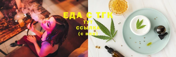 шишки Абаза