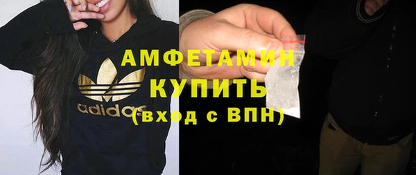 шишки Абаза