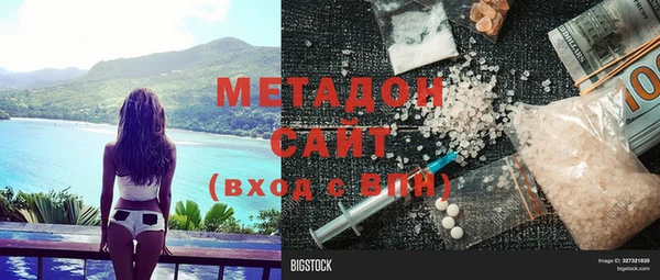 шишки Абаза
