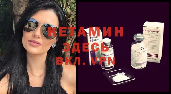 шишки Абаза